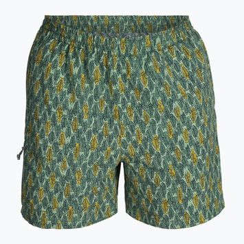 Pantaloni de trekking pentru bărbați Royal Robbins All-In algae flash pt