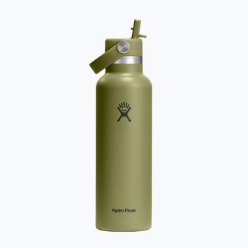 Sticlă termică Hydro Flask Standard Flex 621 ml palmer green