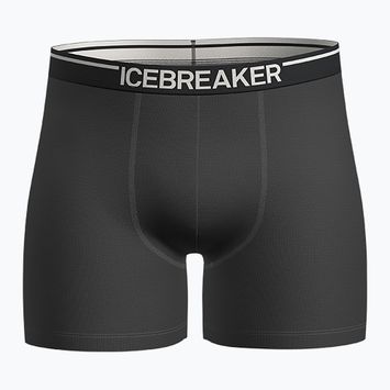 Boxeri termoactivi pentru bărbați icebreaker Anatomica plume jet heather