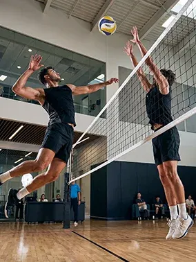 Volei