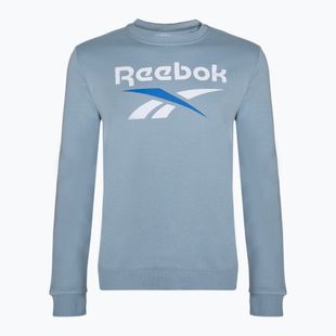 Bărbați Reebok Identity Big Logo Fleece Crew sweatshirt upgrade albastru