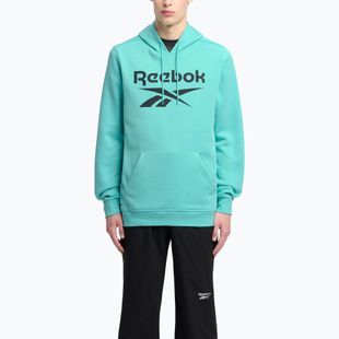 Hanorac pentru bărbați Reebok Identity Big Logo Fleece ai aqua