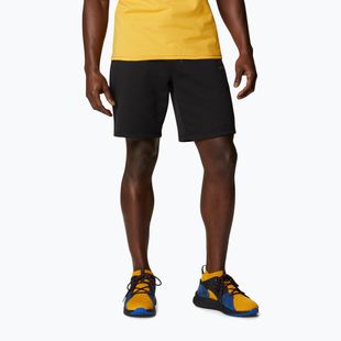 Pantaloni scurți de trekking pentru bărbați Columbia Logo Fleece negri 1884601010