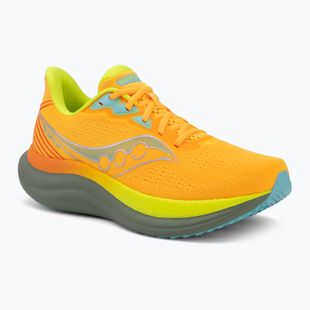 Încălțăminte de alergare pentru bărbați Saucony Triumph 23 vizigold/laurel