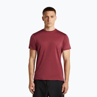 Tricou de trekking pentru bărbați icebreaker Merino 125 Cool-Lite Sphere III port