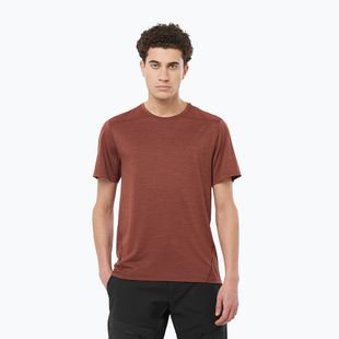 Tricou de trekking pentru bărbați Salomon Outline rum raisin