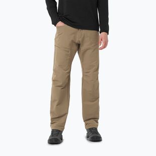 Pantaloni de trekking pentru bărbați Salomon Wayfarer Warm shitake