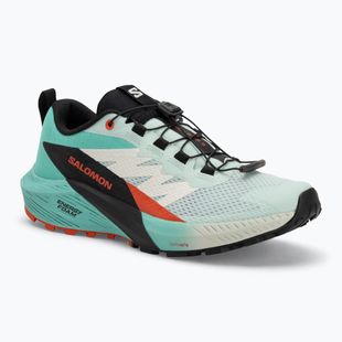 Încălțăminte de alergare pentru femei Salomon Sense Ride 5 bay/black/cherry tomato