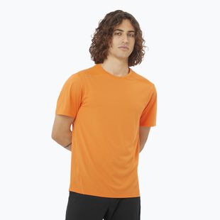 Tricou pentru bărbați  Salomon Outline Tee turmeric