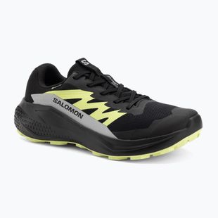 Încălțăminte de alergare pentru bărbați  Salomon Alphaglide GTX black/alloy/sharp green