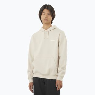 Hanorac pentru bărbați Salomon Logo Hoodie rainy day