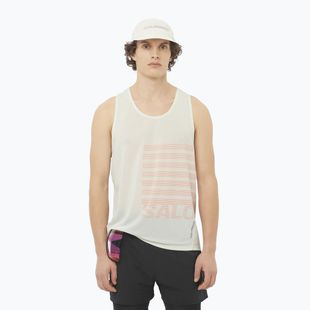 Tank top de alergare pentru bărbați  Salomon Sense Aero Singlet GFX icicle