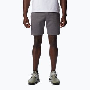 Pantaloni scurți de trekking pentru bărbați Columbia Logo Fleece gri 1884601023
