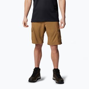 Pantaloni scurți de trekking pentru bărbați Columbia Silver Ridge Utility Cargo delta