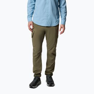 Pantaloni de trekking pentru bărbați Columbia Skien Valley Cargo stone green