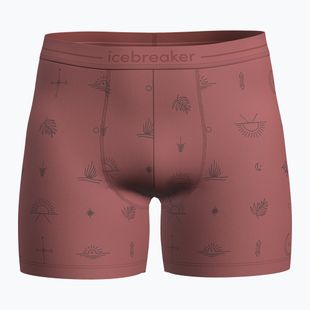 Boxeri termoactivi icebreaker Merino150 Anatomica Boxers Explore More plume/aop