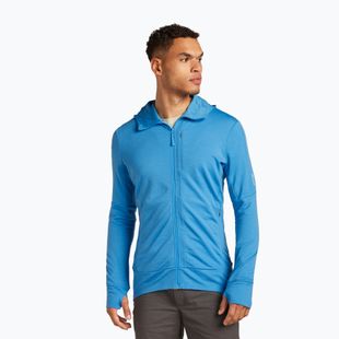 Bluză de trekking pentru bărbați icebreaker Merino 260 Quantum IV Zip Hoodie arctic