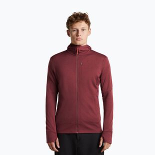 Bluză pentru bărbați Icebreaker Merino 260 Quantum IV LS Zip Hoodie port/agate