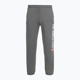 Pantaloni pentru bărbați The North Face Varsity Graphic medium grey heather