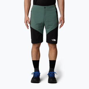 Pantaloni scurți de trekking pentru bărbați The North Face Felik Slim Tapered Short duck green/tnf black