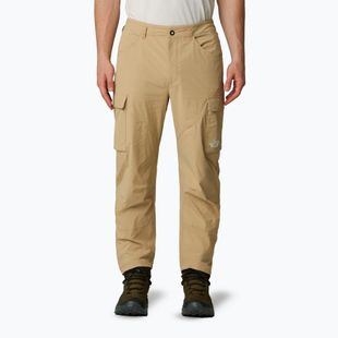 Pantaloni de trekking pentru bărbați The North Face Exploration Cargo khaki stone