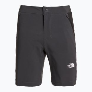 Pantaloni scurți de trekking pentru femei The North Face Felik Slim Tapered asphalt grey/tnf black