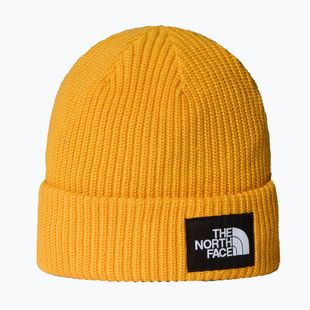 Căciulă de iarnă The North Face Salty Lined