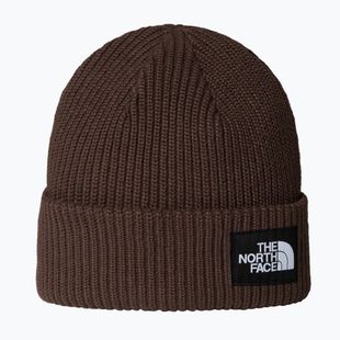 Căciulă de iarnă The North Face Salty Lined