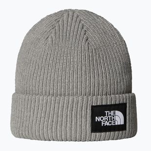 Căciulă de iarnă The North Face Salty Lined