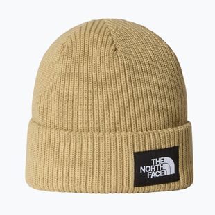 Căciulă de iarnă The North Face Salty Lined