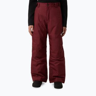 Pantaloni de schi pentru copii The North Face Freedom Insulated sumac
