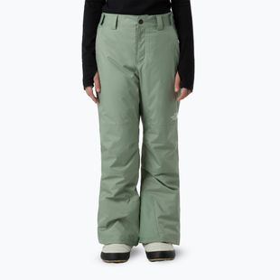 Pantaloni de schi pentru copii The North Face Freedom Insulated slate moss
