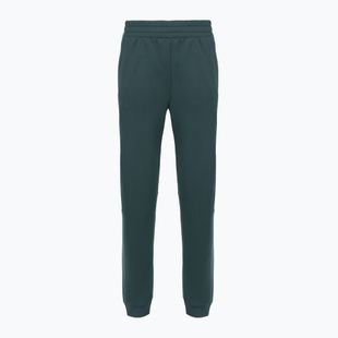 Pantaloni pentru femei The North Face Mountain Athletics Fleece deep cypress/space