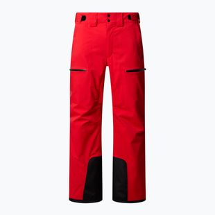 Pantaloni de schi pentru bărbați The North Face Chakal Regular elevation red
