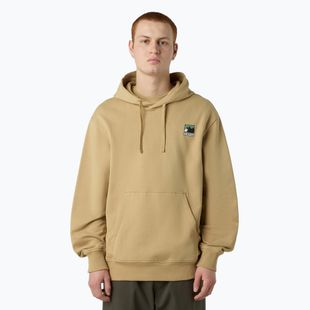 Bluză pentru bărbați The North Face Mountain Logo Relaxed Hooded khaki stone