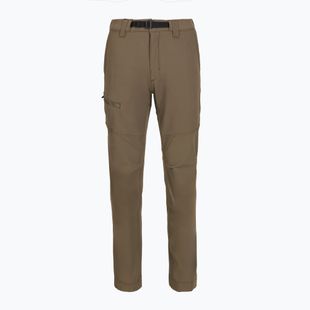 Pantaloni de trekking pentru femei Patagonia Terravia Peak - Regular marlow brown