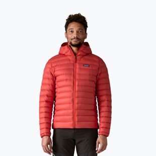 Geacă de puf pentru bărbați Patagonia Down Sweater Hoody amanita red