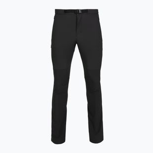 Pantaloni de trekking pentru bărbați Patagonia Terravia Alpine black