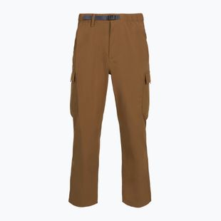 Pantaloni pentru bărbați Patagonia Outdoor Everyday deer brown