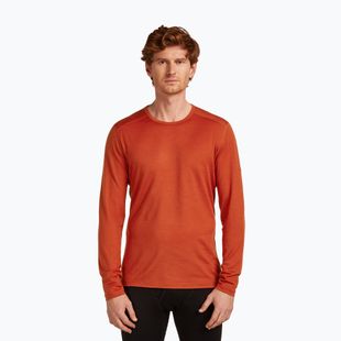 Longsleeve termoactiv pentru bărbați icebreaker 200 Oasis Crewe agate