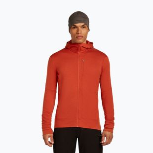 Bluză pentru bărbați icebreaker Merino 260 Quantum IV Zip Hoodie agate