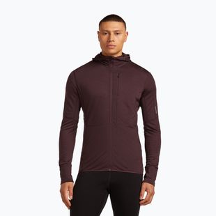 Bluză de trekking pentru bărbați icebreaker Merino 200 RealFleece Descender Zip Hoodie java