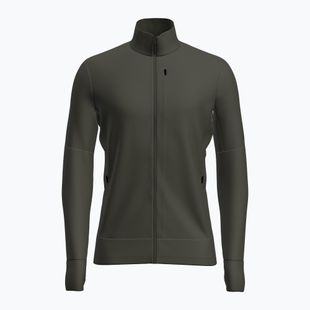 Bluză de trekking pentru bărbați Icebreaker Merino 260 Quantum IV LS Zip dark loden