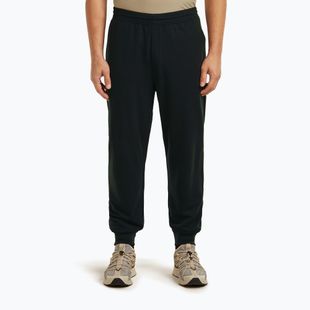 Pantaloni de trekking pentru bărbați Icebreaker Merino 200 Shifter black