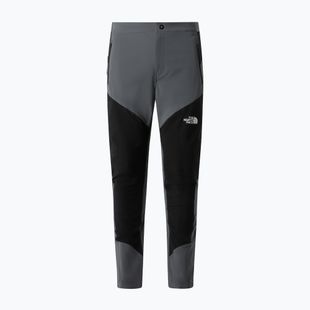Pantaloni de trekking pentru bărbați The North Face Felik Slim Tapered smoked pearl/tnf