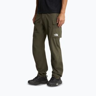 Pantaloni de trekking pentru bărbați The North Face Exploration Cargo taupe green