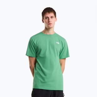 Tricou bărbătesc The North Face Evolution Simple Dome dimmed algae