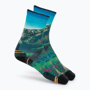 Șosete pentru femei Smartwool Hike Mountain Lake Print Crew capri