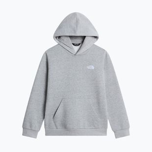 Bluză pentru copii The North Face Evolution Simple Dome Pullover Hood tnf pale grey heather