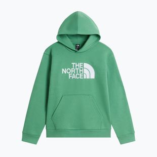 Bluză pentru copii The Noryh Face Essential Drew Peak Hoodie dimmed algae